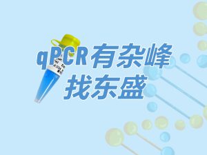 SYBR Green Blue qPCR Mix：qPCR有杂峰 找东盛